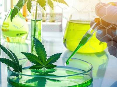 Why it is So Important to Get Your CBD Tested by A Reputed Lab?